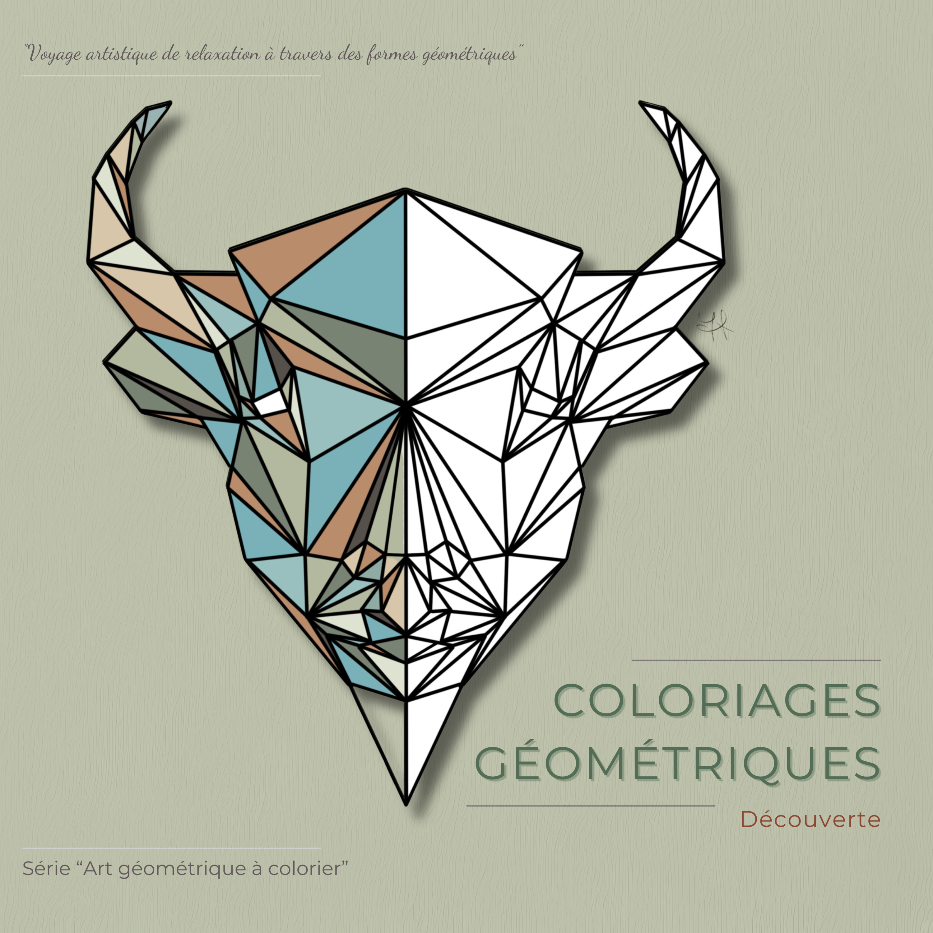 Livre de coloriages géométriques adultes découverte